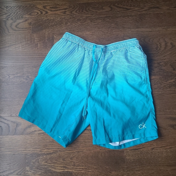Calvin Klein Blue Striped Swim Shorts Men's Sz.L - Picture 1 of 6